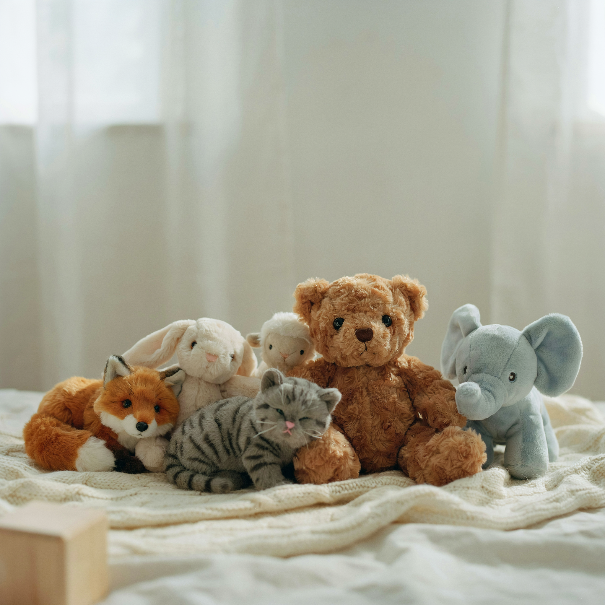 Stuffed Animals