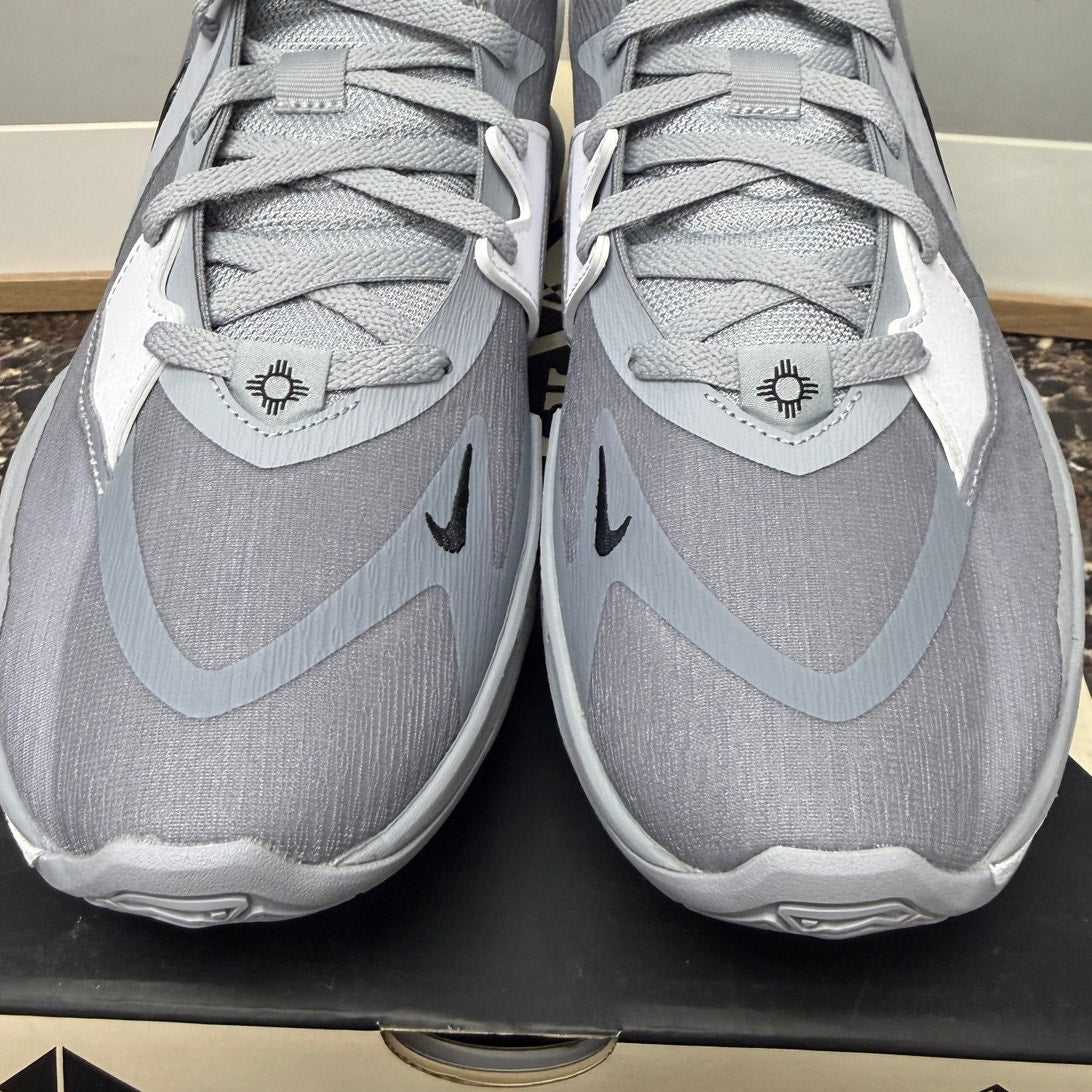 Nike Giannis Freak 6 TB Wolf Grey/Black/White Men’s 12 (FV1292-001) NIB