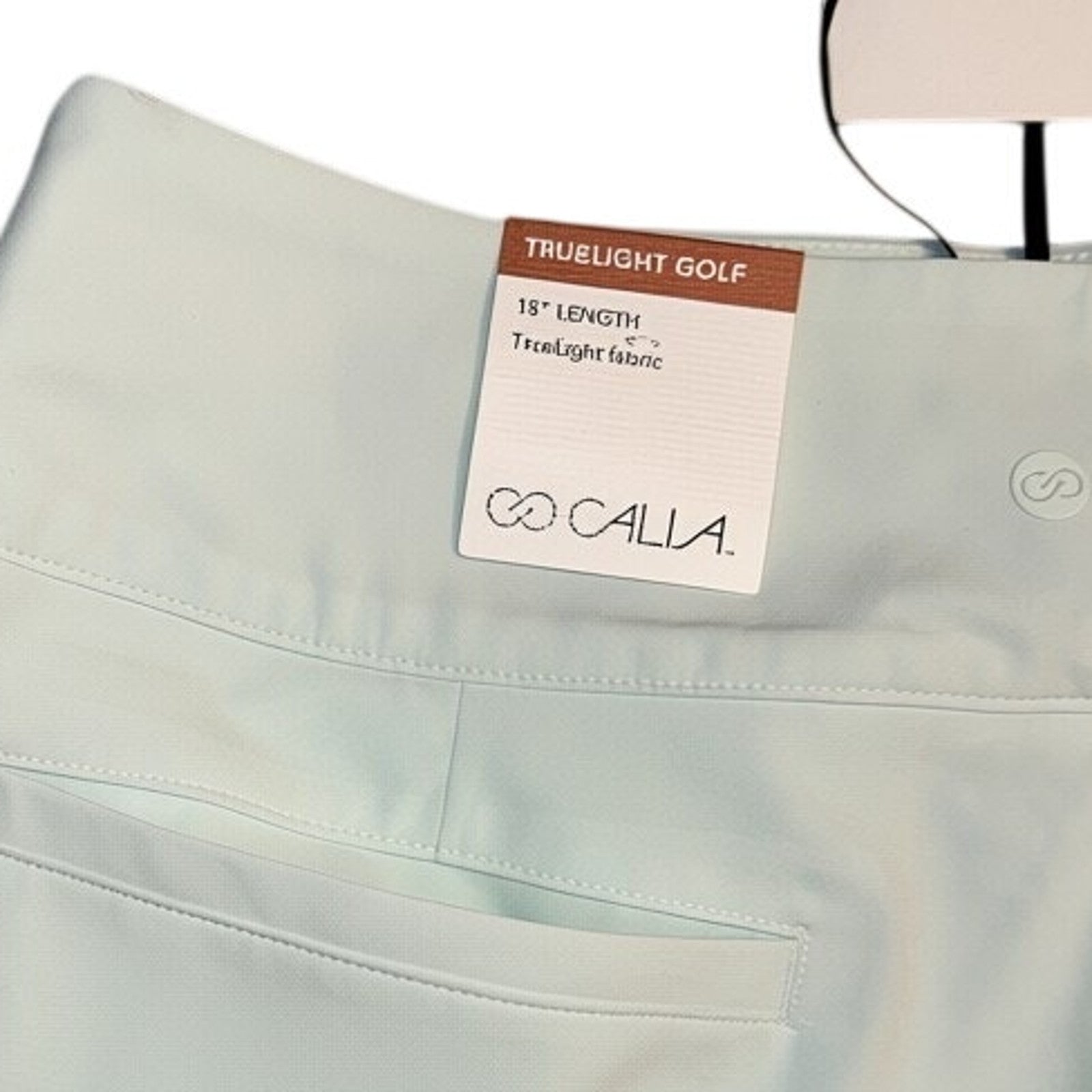 CALIA Truelight Golf 15" Pleated Skirt in Mint Ceylon Green Women's 8