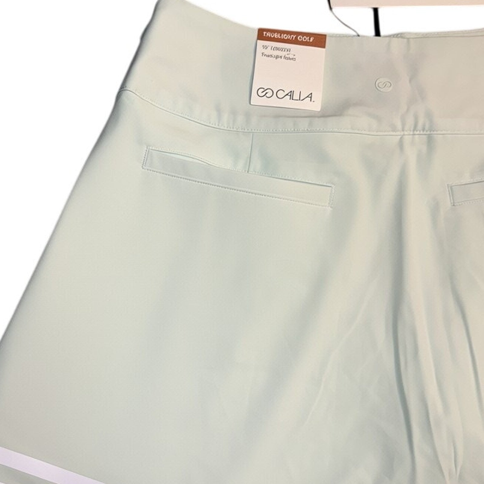 CALIA Truelight Golf 15" Pleated Skirt in Mint Ceylon Green Women's 8