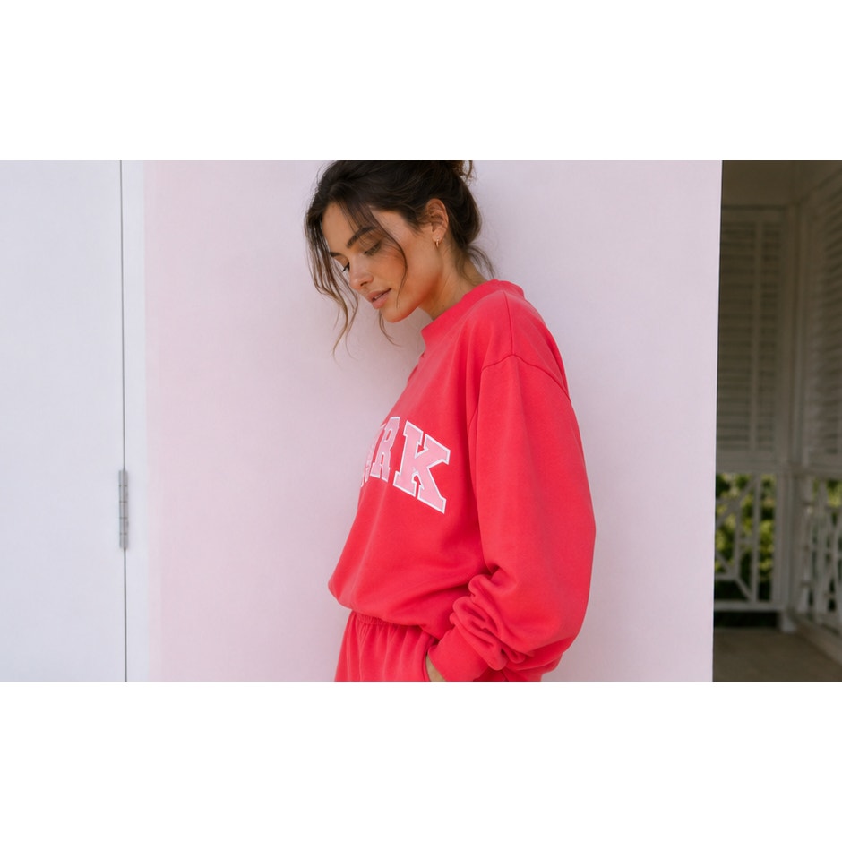 PARKE Heritage Varsity Mockneck Sweatshirt Pink Women's Pullover NWT XL